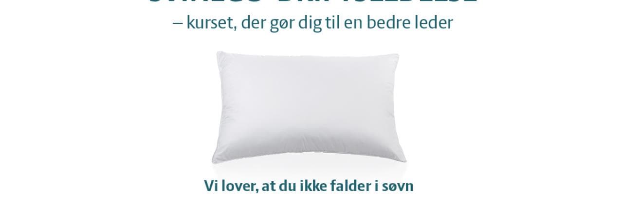 Svinego Driftsledelse.jpg