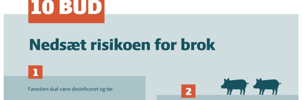 Ti bud om brok.jpg