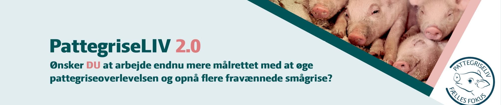 Pattegriseliv_top kopier.jpg