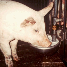 figur 4 anordninger.jpg